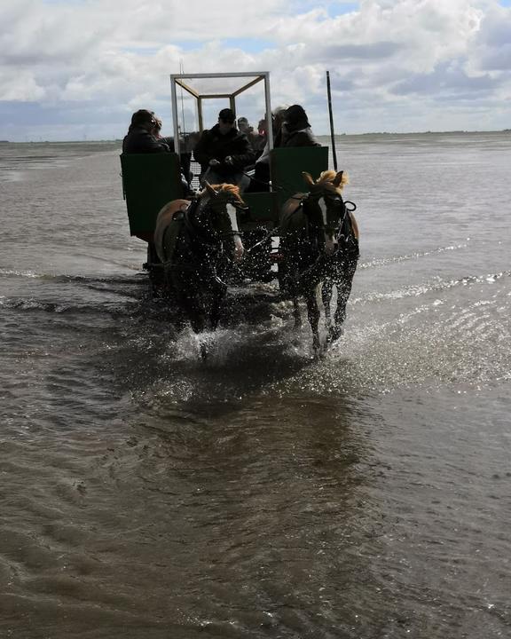 Hallig Südfall