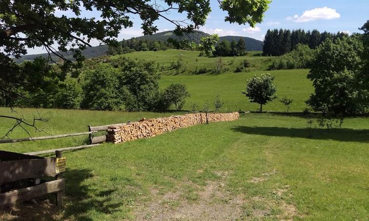 Steinberg Alm Zum Rosner