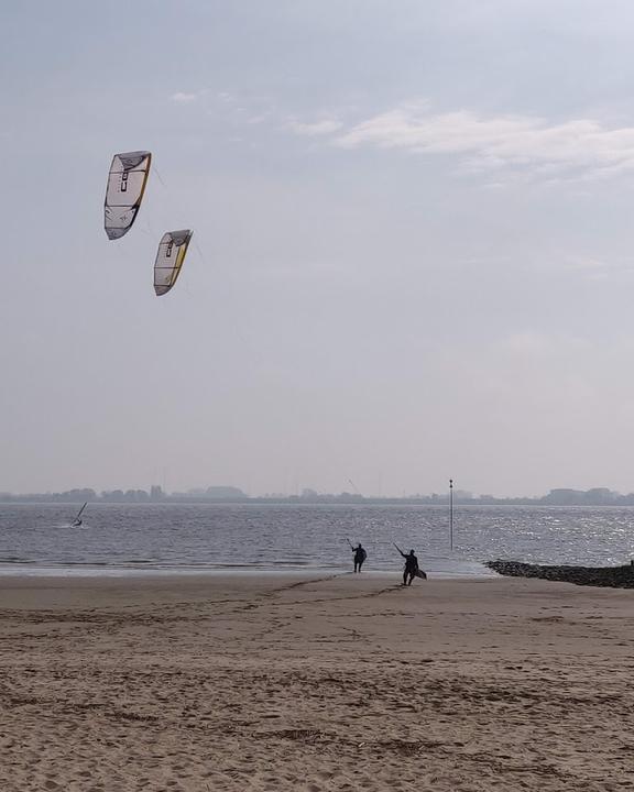 Strandfloh Bielenberg